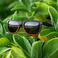 Classic Timber - Dual Timber Polarized